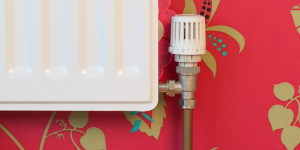 What Thermostatic Radiator Valves are For